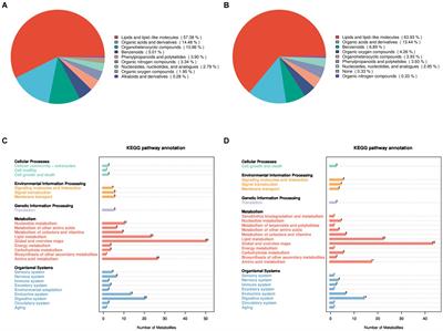 Metabolomics analysis of the effect of GnRH on the pregnancy rate of ewes with estrus synchronization scheme based on progesterone